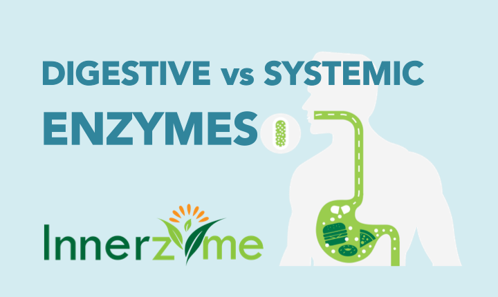 Innerzyme Supplements_Digestive vs Systemic Enzymes - Innerzyme